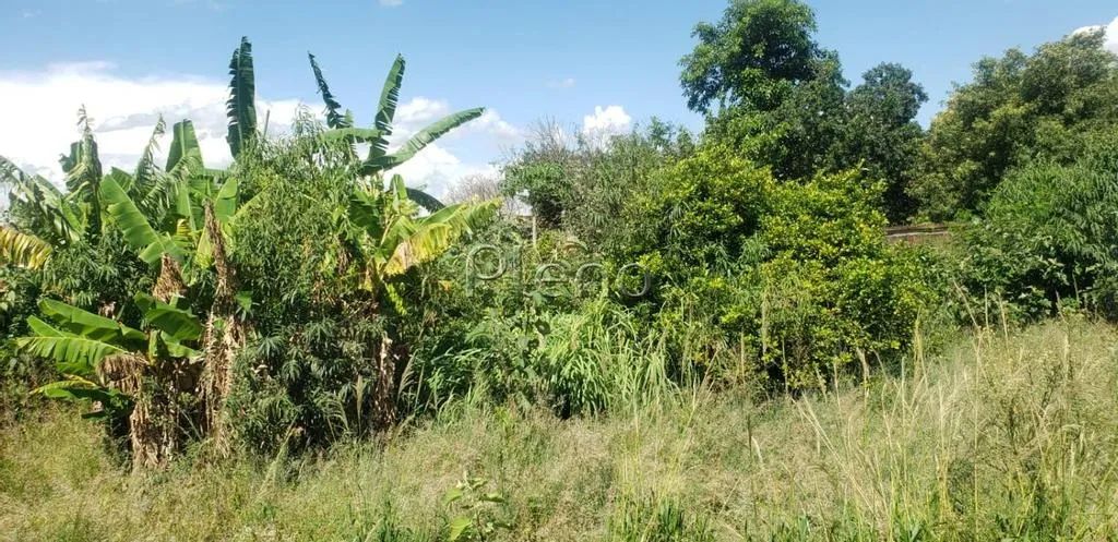 Terreno à venda em Campinas, Chácara Primavera, com 1000 m² - Foto 5