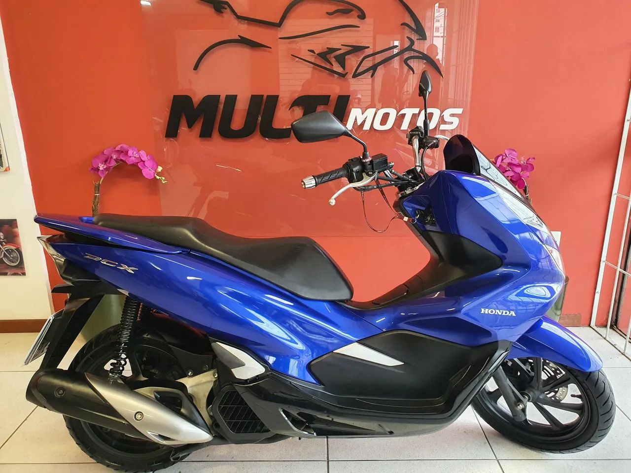 PXC 150 DLX 2022