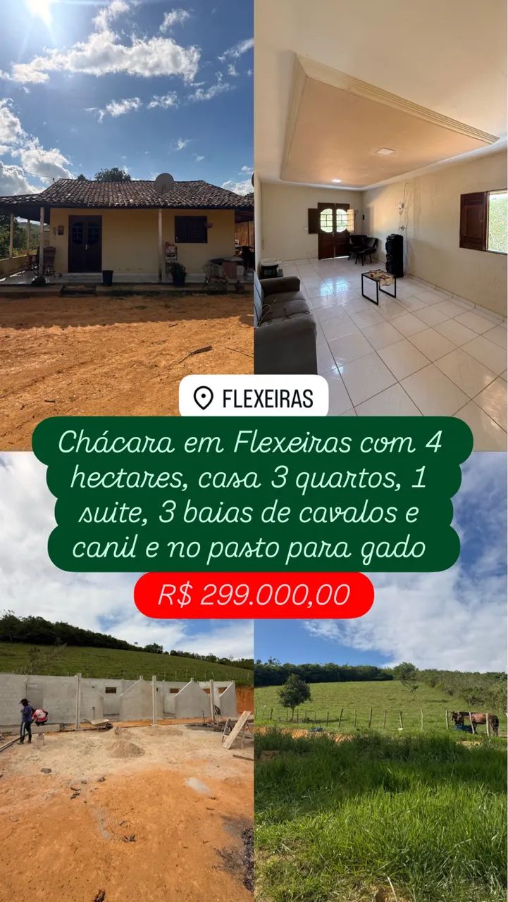 Vendo Chácara em Flexeiras com casa sede 4 hectares 