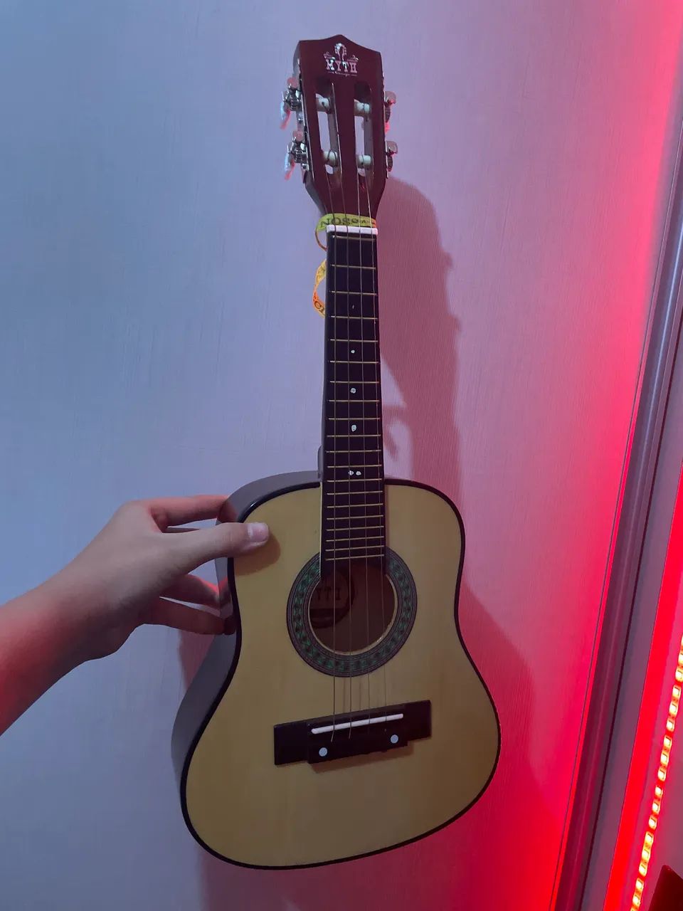 Cavaquinho 