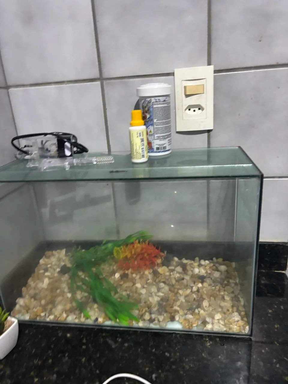 Aquário - Foto 2
