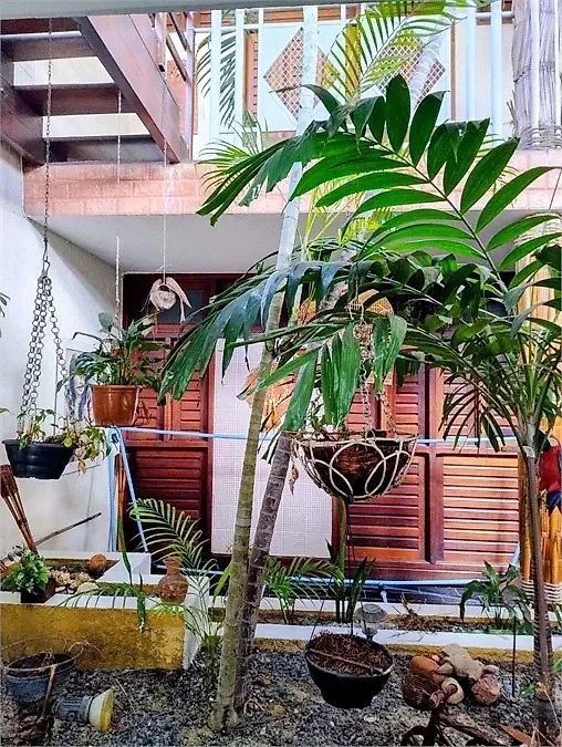 Prédio Comercial no Pousada Terra Garrida - Ponta Da Terra - Foto 5