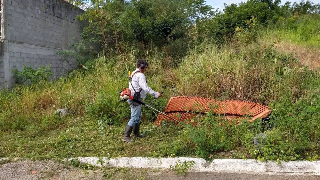 Roçadas aplicação de randap e instalação de biodegestor  - Foto 3