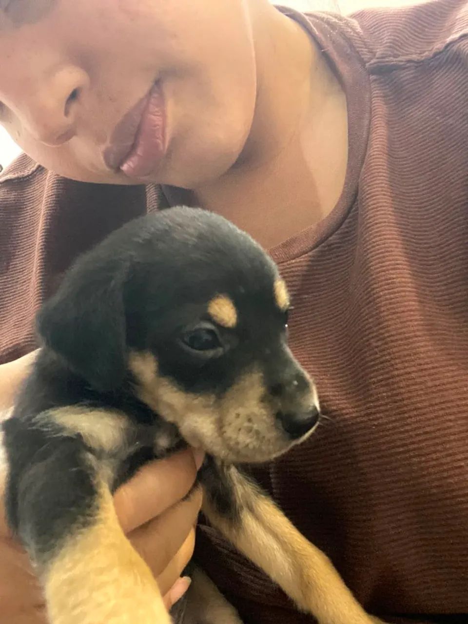 Doação de cachorro  - Foto 4