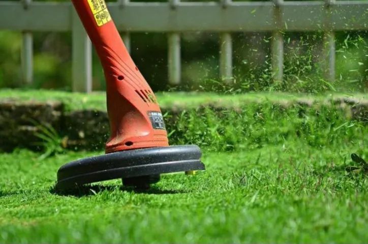 Limpeza/Corte De Gramas E Terrenos
