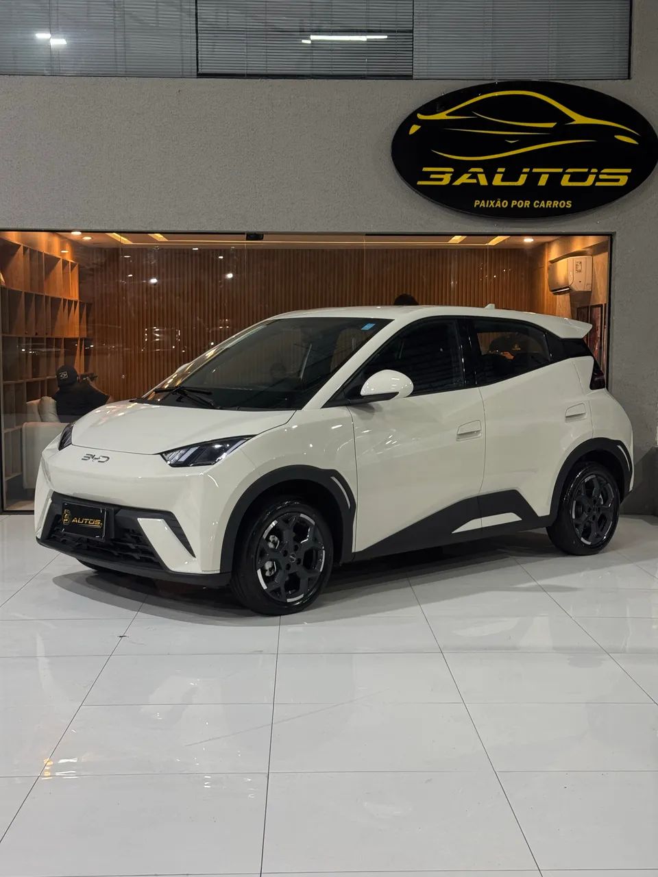 BYD Dolphin Mini (Elétrico) 2027
