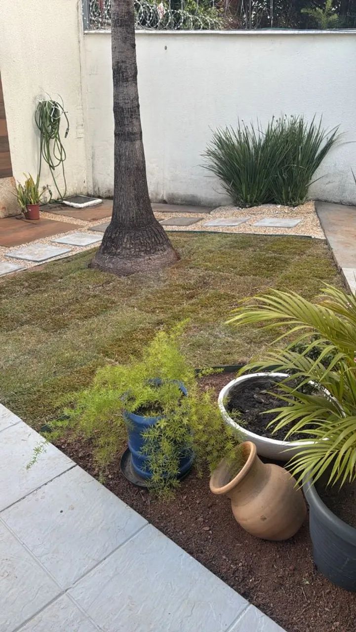 Cuidado, saúde e beleza para o seu espaço verde. - Foto 2