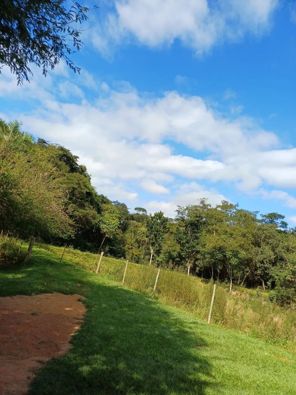 Linda chácara para alugar  - Foto 5