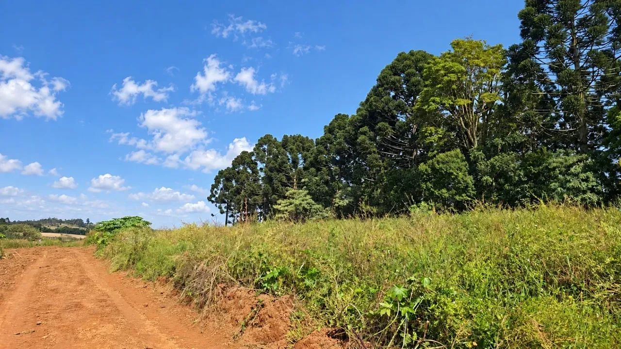 Terrenos de 1000 metros em Mairinque Próximos. - Foto 3