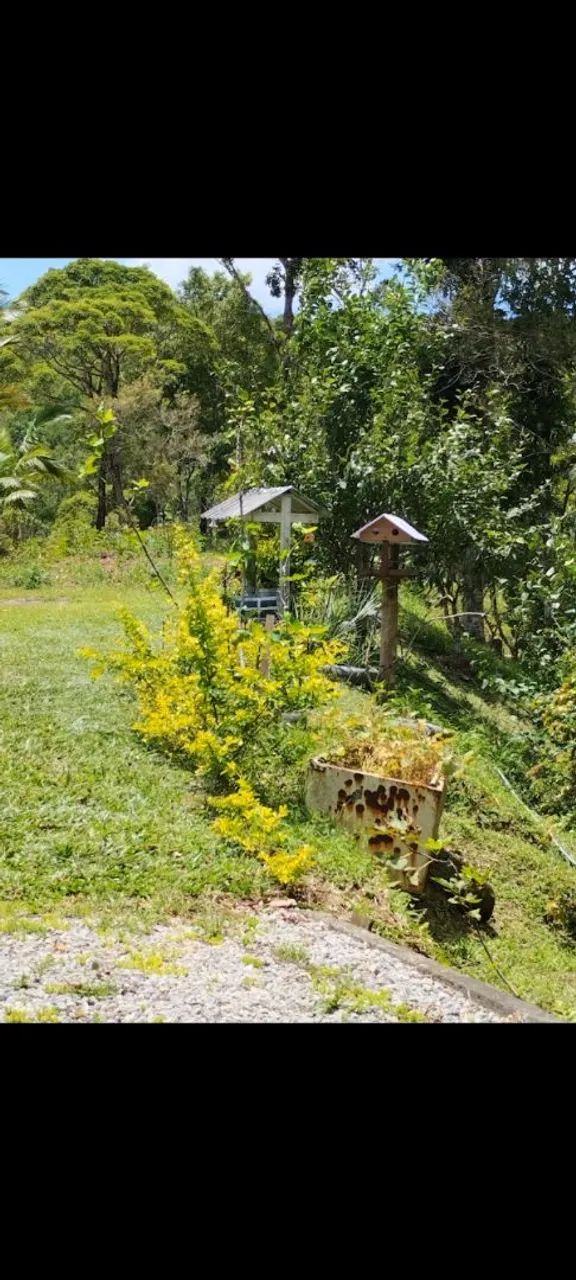 Sitio em paulo lopes  - Foto 5