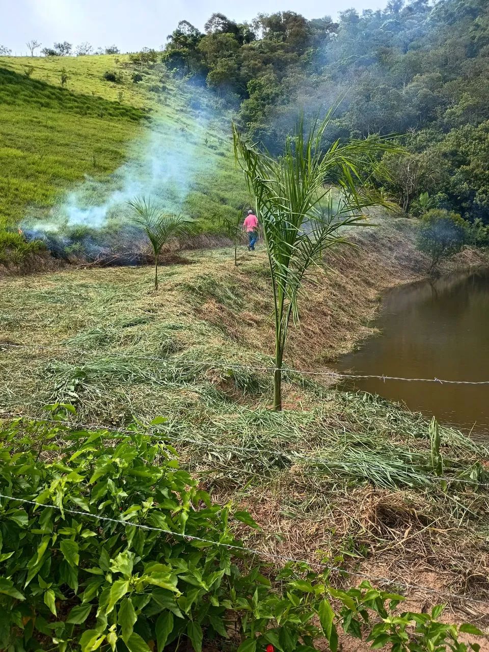 Terreno com mina dágua 
