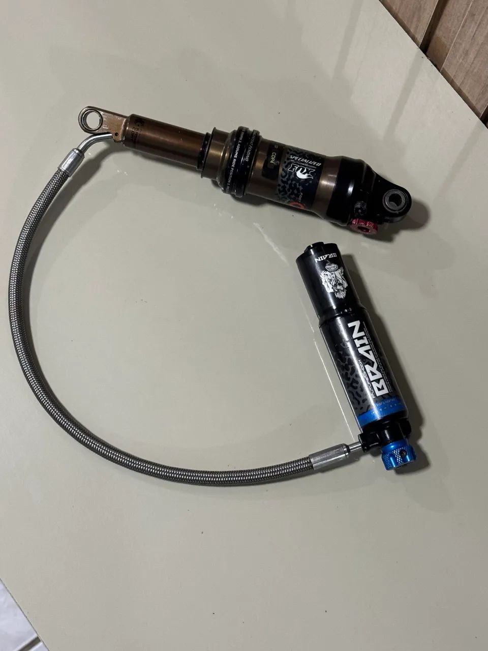 Shock fox kashima