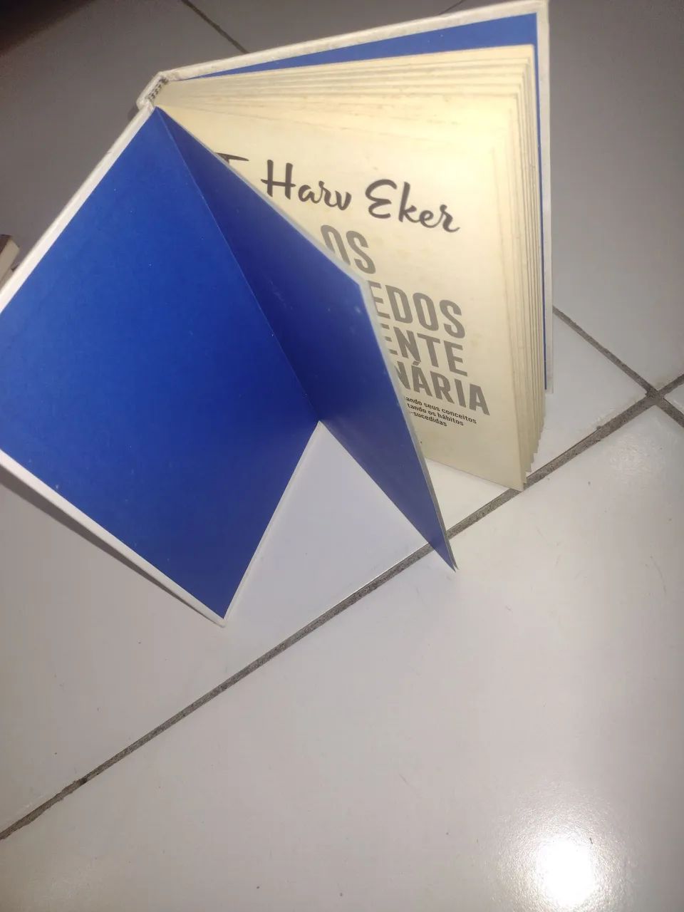 livro - Foto 2