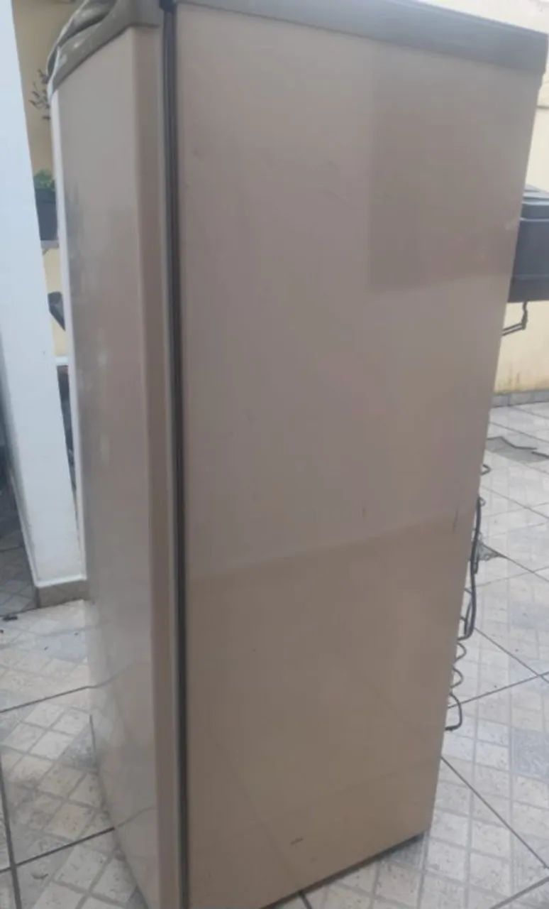 Vendo geladeira Eletrolux  - Foto 4
