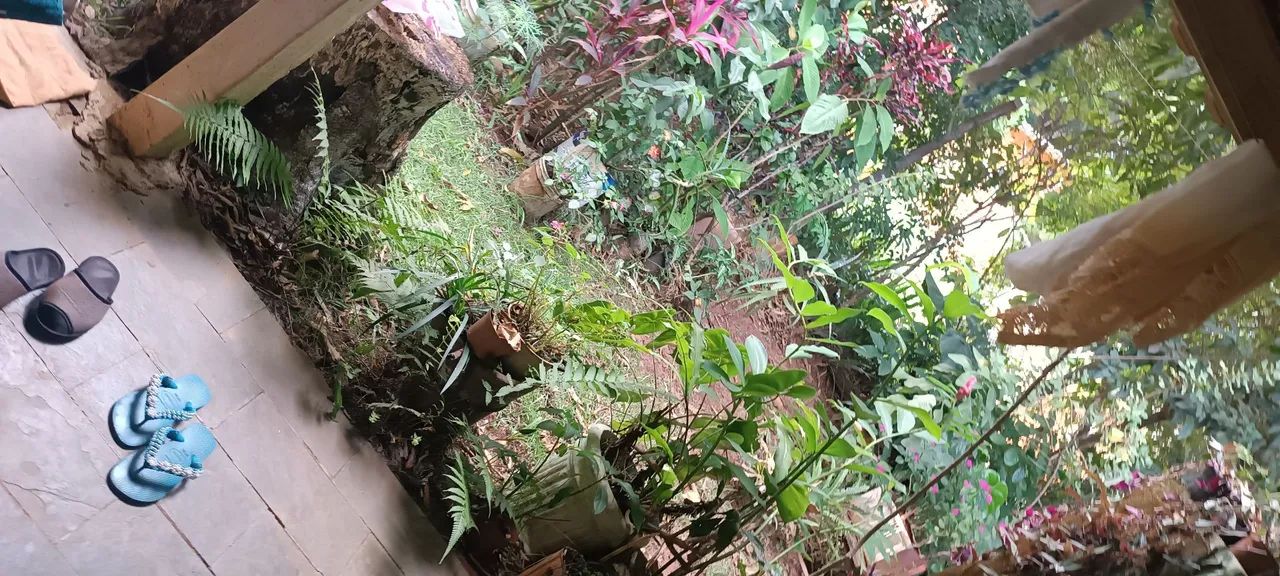 Vendo vendo uma casa - Foto 4