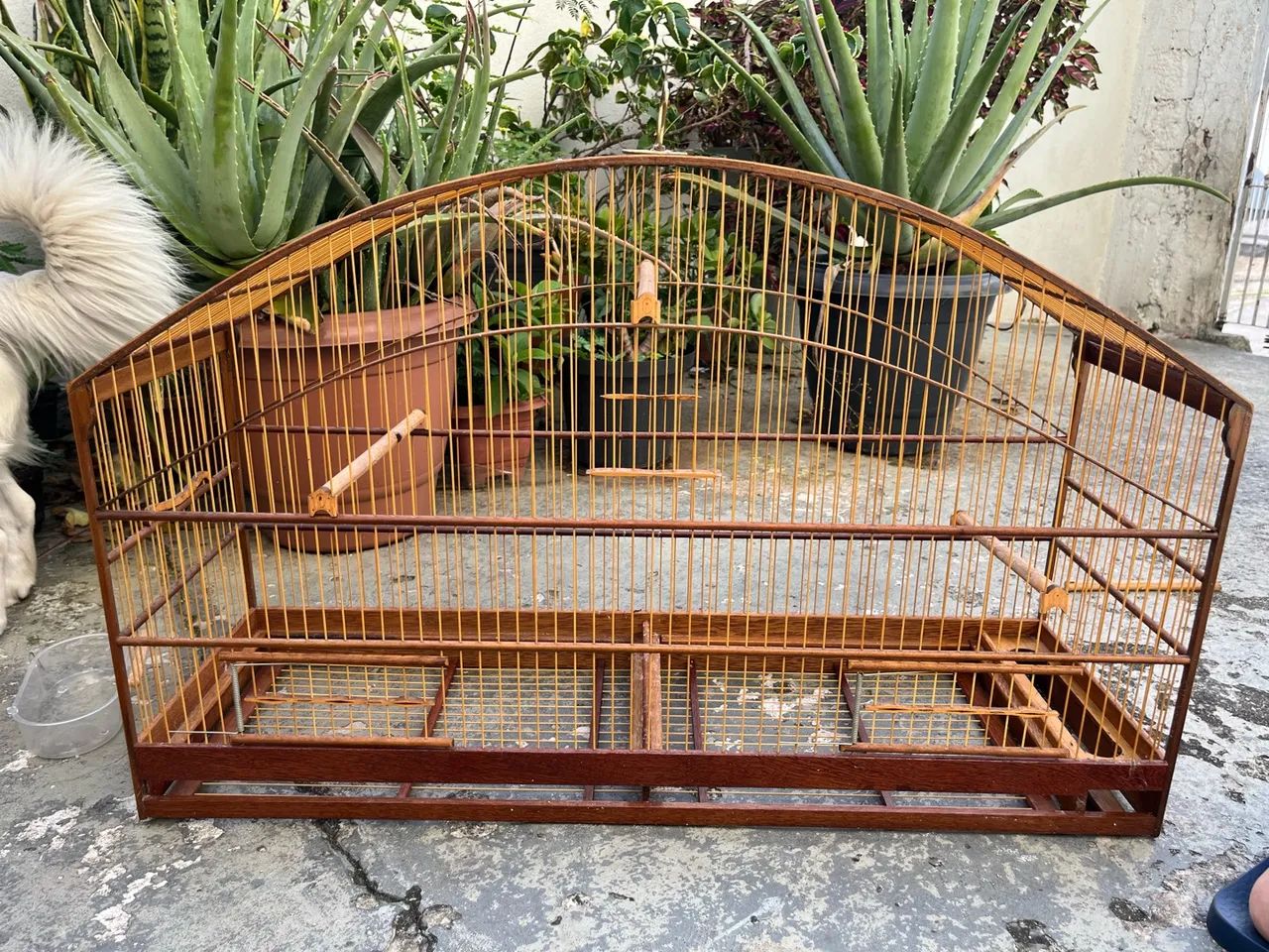Gaiola