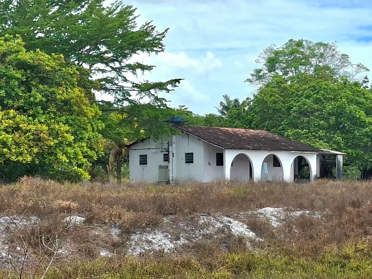 Vendo Sítio com 22 hectares em Alhandra - Foto 2