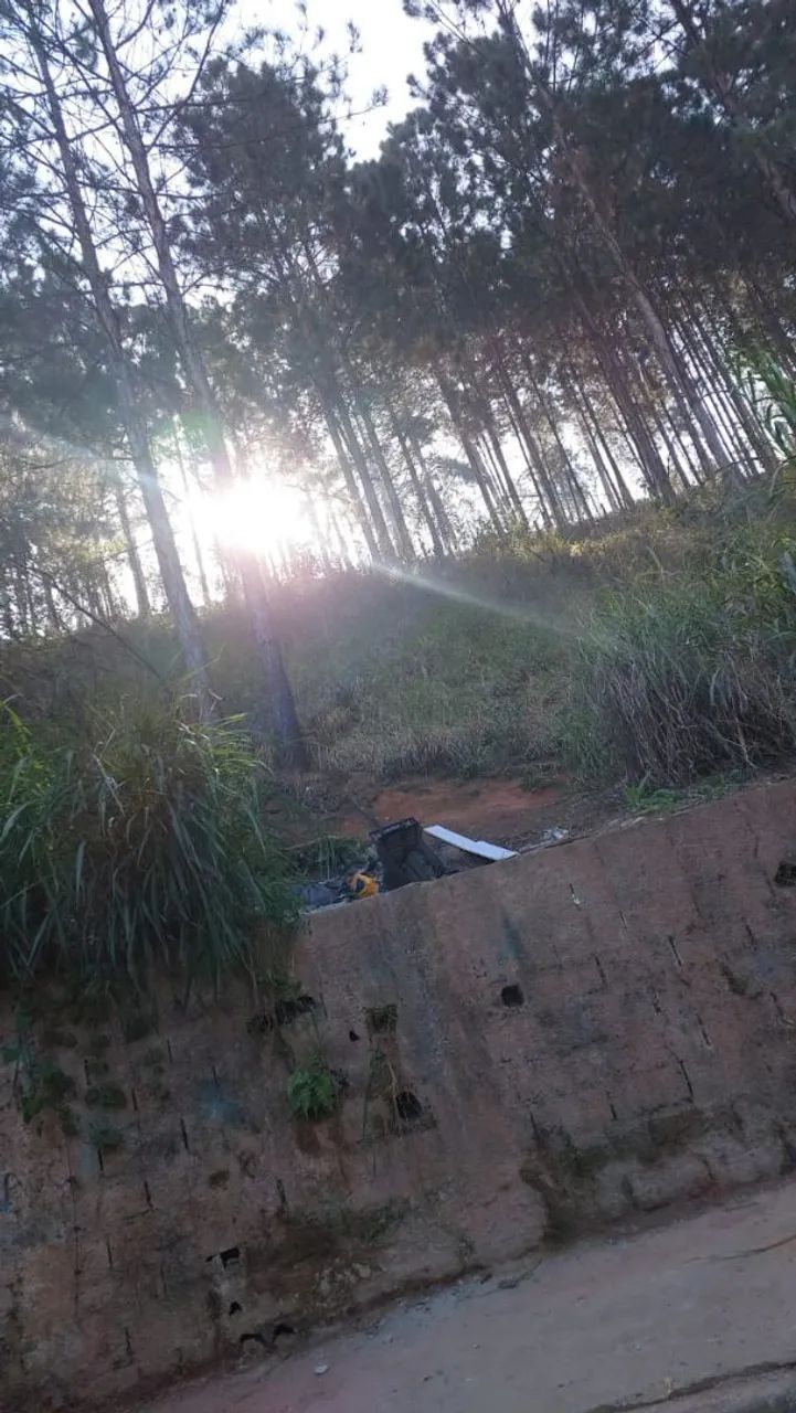Foto - Caieiras - Vila Rosina
