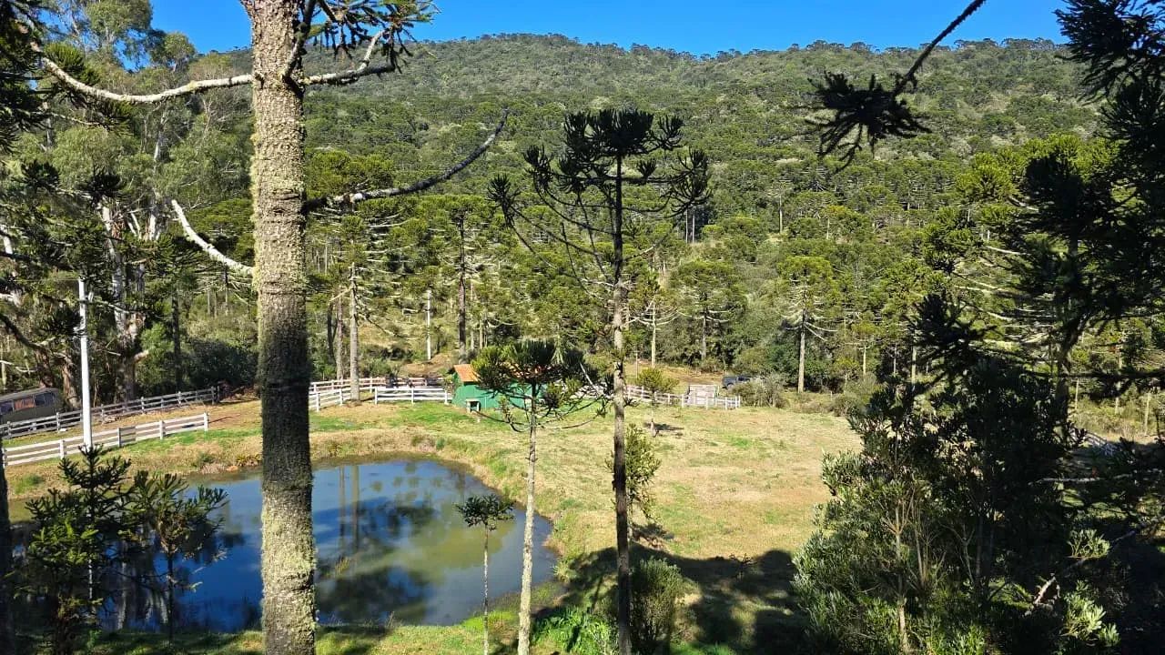 Oportunidade! 3 hectares na serra catarinense !