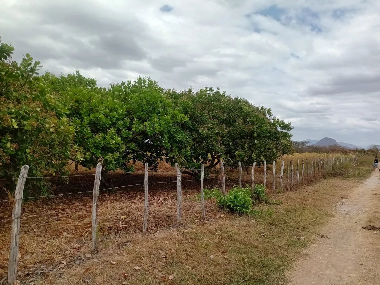 VENDO TERRENO EM SITIOS NOVOS CAUCAIA 