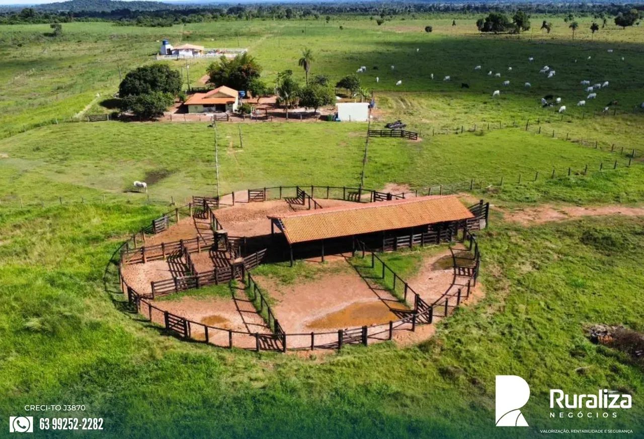 FAZENDA PRONTA PARA CRIA, RECRIA E ENGORDA | APENAS 5 KM DA CIDADE - Foto 5