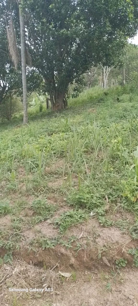 Foto - Carapicuíba - Vila América