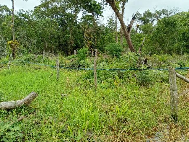 TERRENO PRAIA DE LESTE - Foto 2