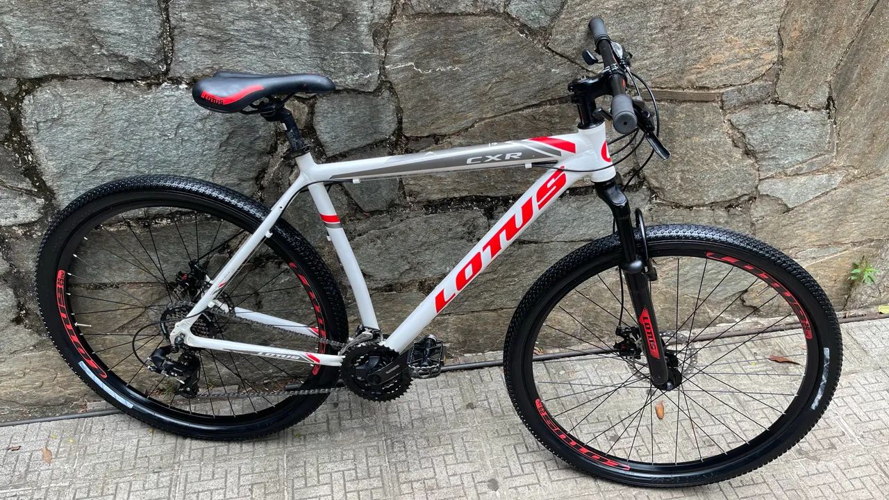 Bicicleta lótus mtb 29