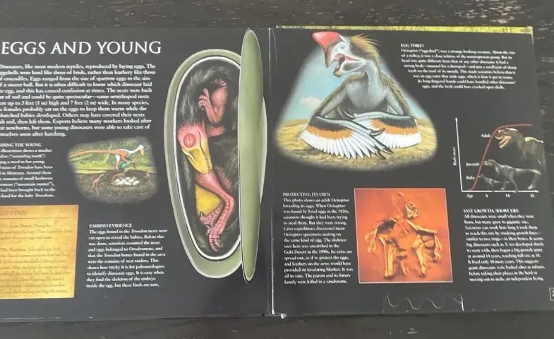 livro dinossauros - Foto 4
