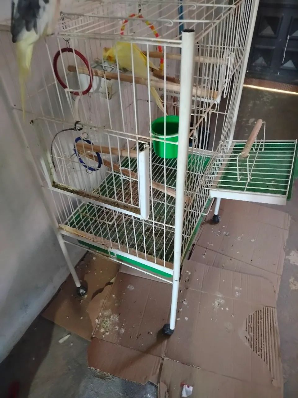 Gaiola grande calopsita - Foto 4