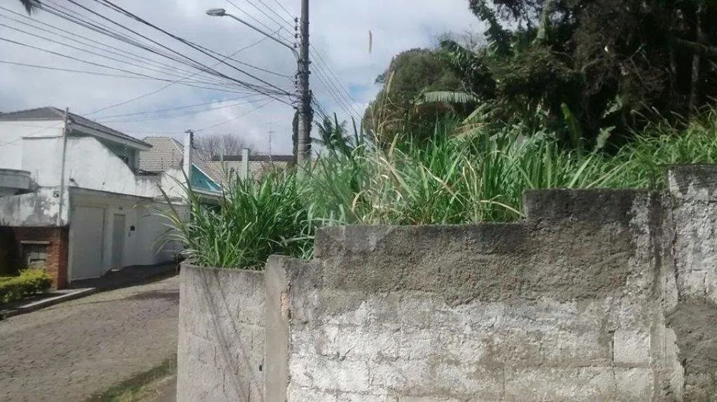 Terreno à venda em Horto florestal - SP - Foto 4