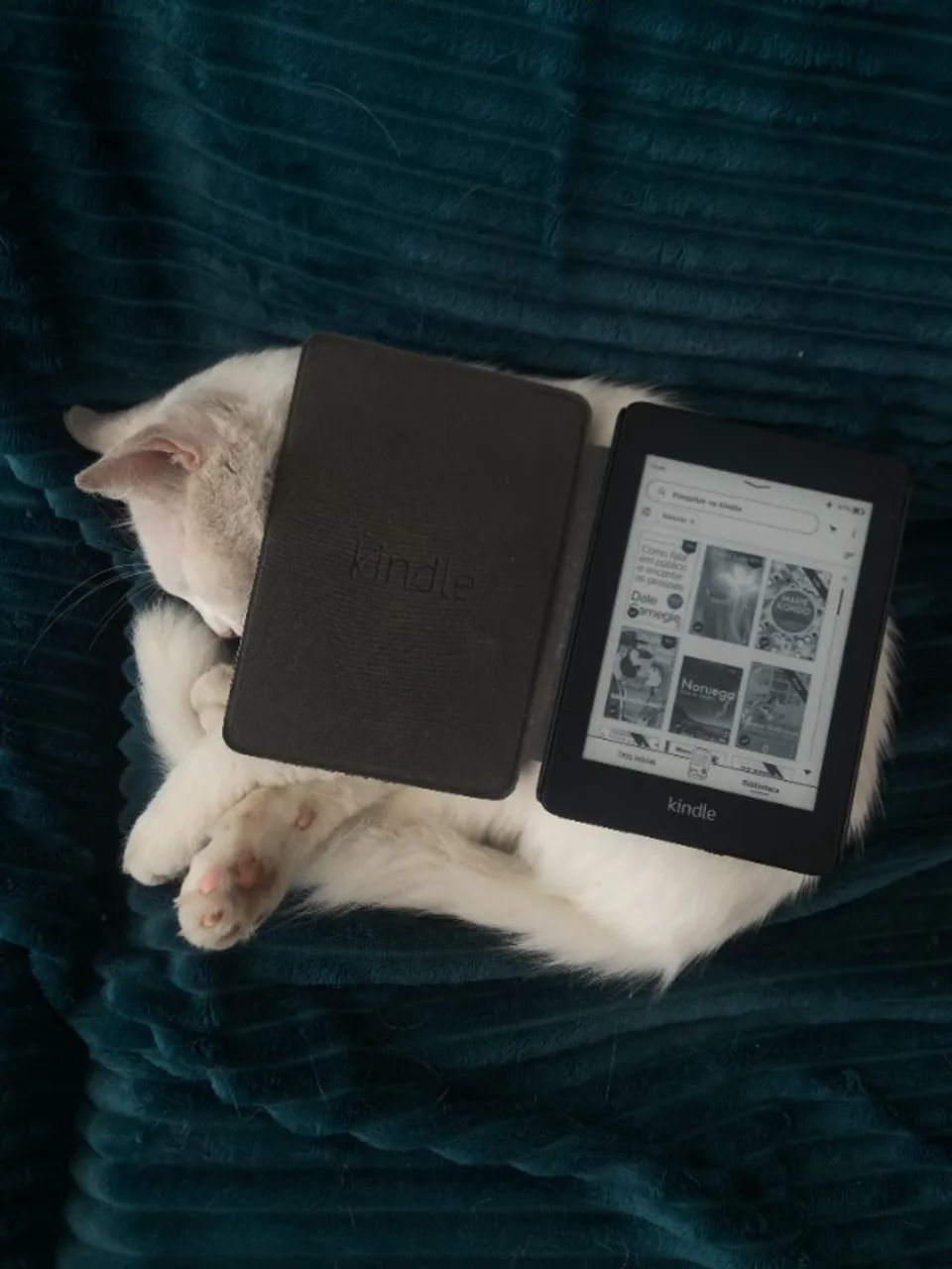 LEIA EM QUALQUER LUGAR - Kindle Paperwhite - Foto 3