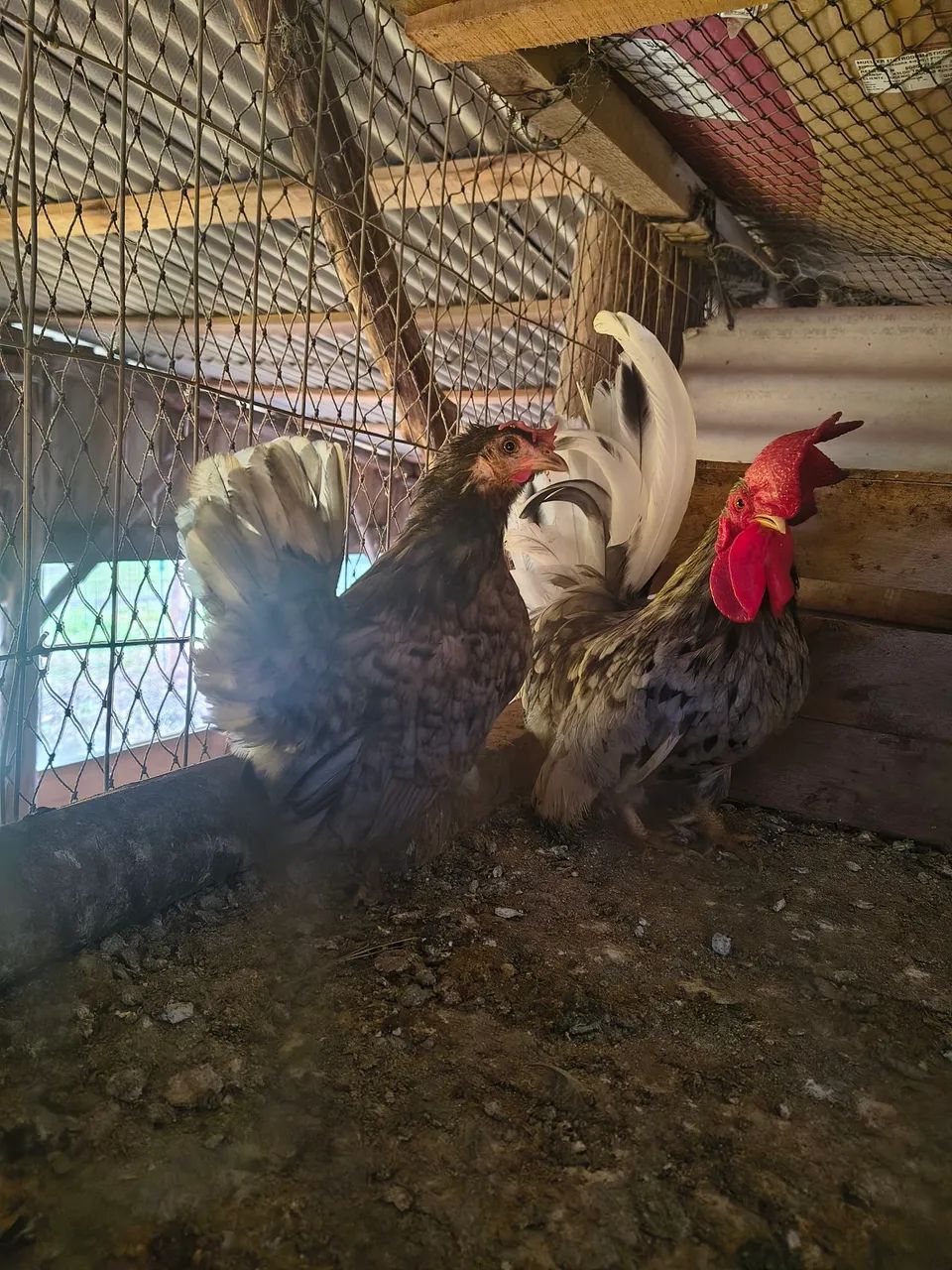 Venda de Galizé  - Foto 3