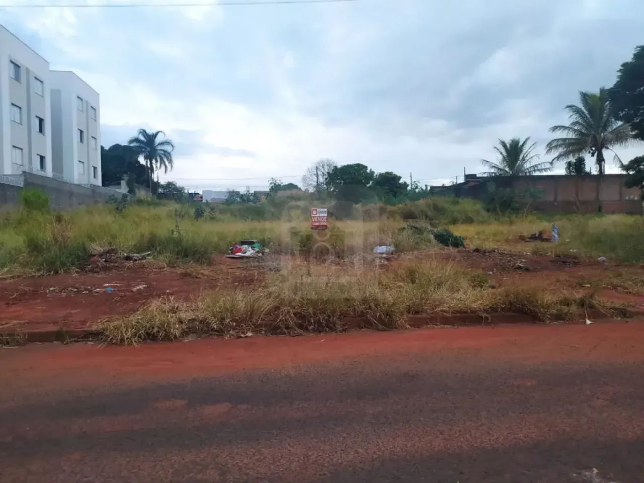 Terreno Para Venda No Bairro Aclimação - Foto 5