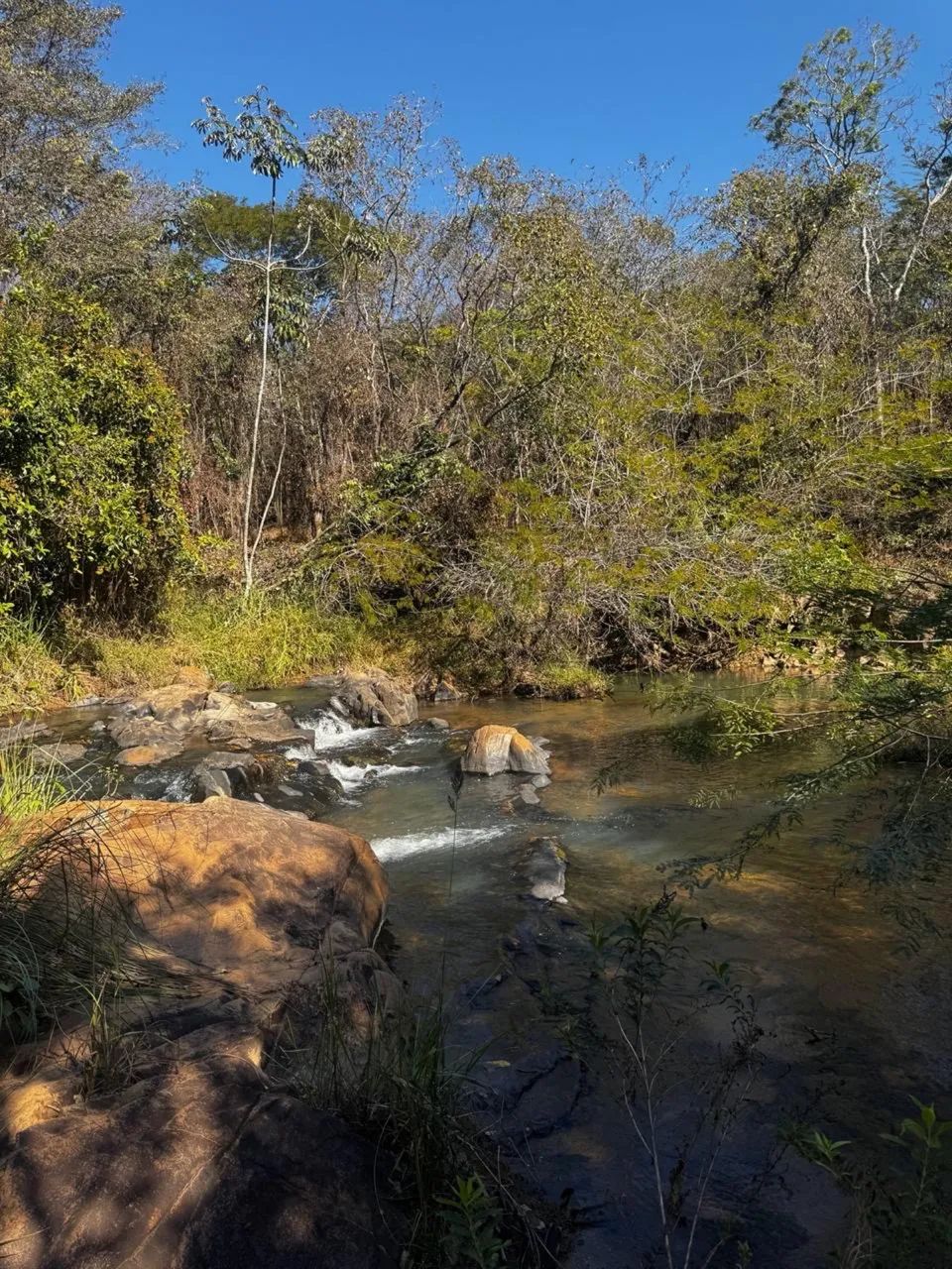 Vende-se terreno em Taquaraçu de Minas sítios chácaras  - Foto 4