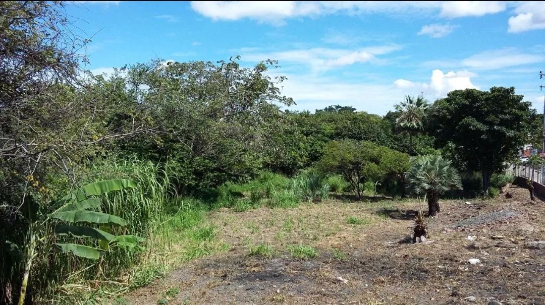 Terreno na Messejana  - Foto 4
