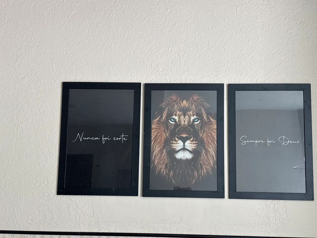 Kit quadros Leão 