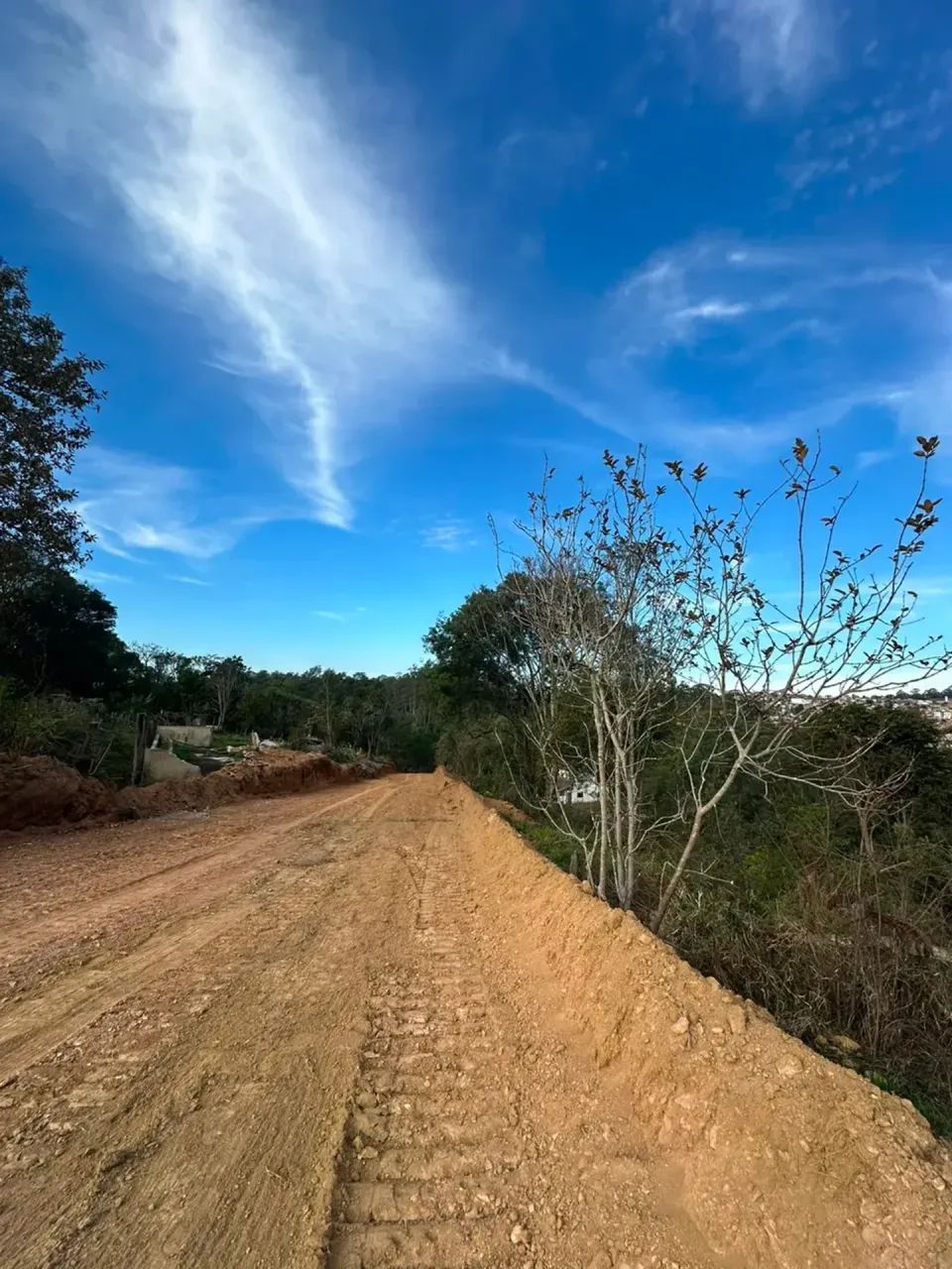 Chácara dos sonhos: 1000m² com nascente natural - Foto 3