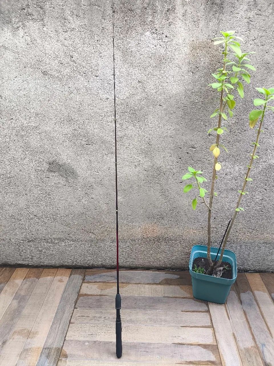 Vara para carretilha 5'6" Shimano  - Foto 3