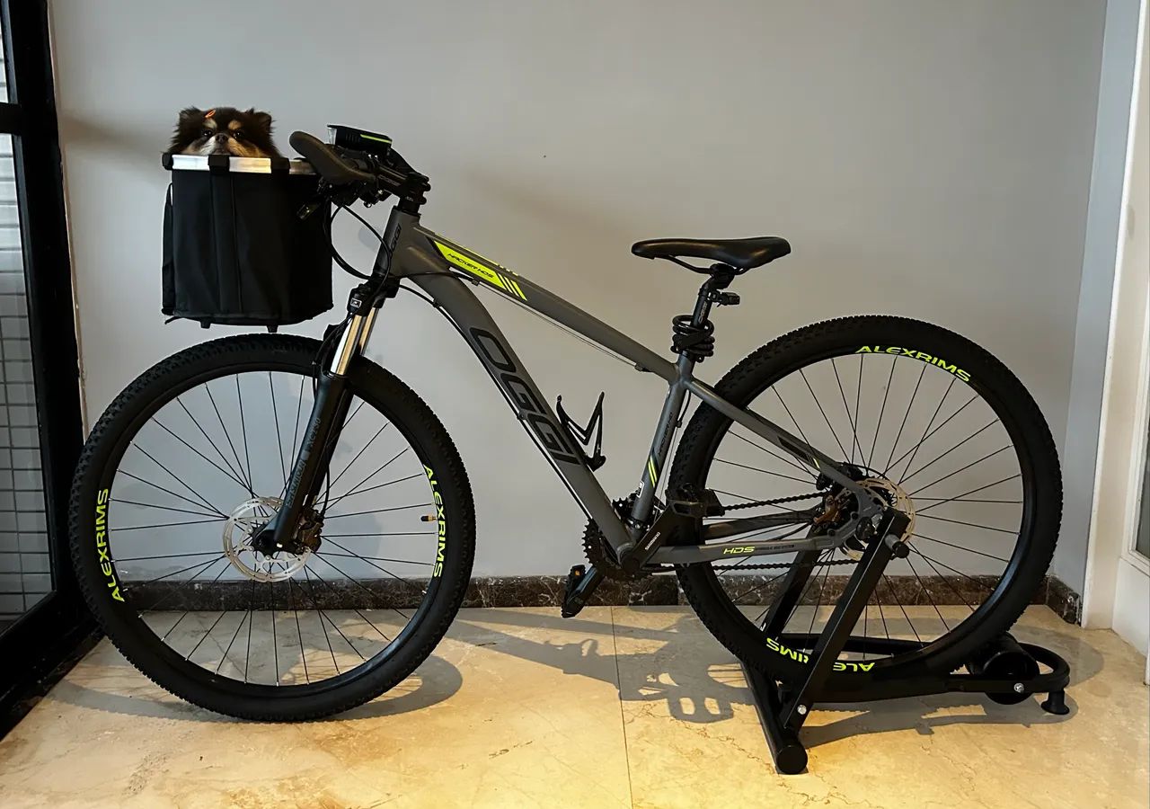 Bicicleta Oggi HDS 29 