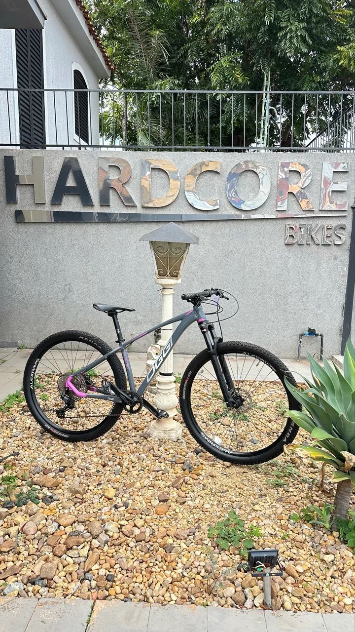 Bicicleta aro 29 OGGI 15,5?