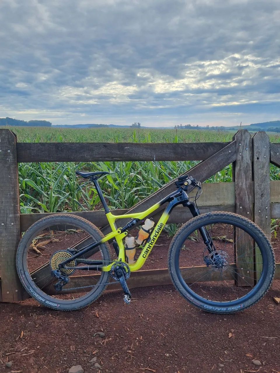 Cannondale Scalpel  - Foto 2