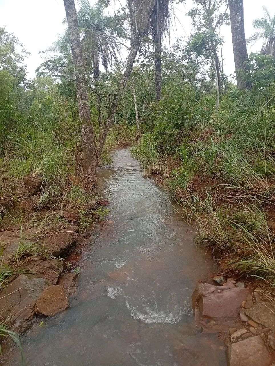 Fazenda a venda 