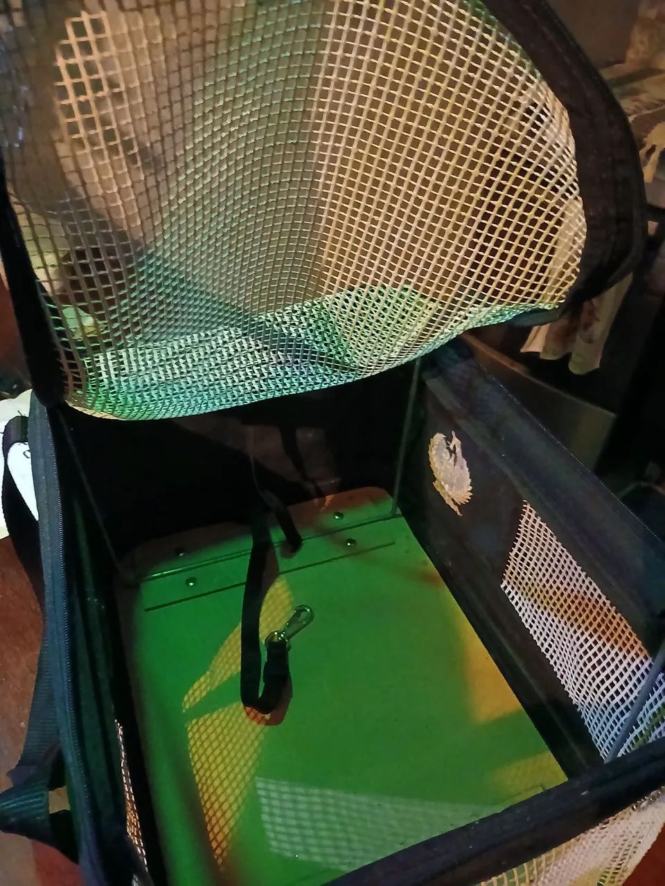 Caixa de transporte  - Foto 4