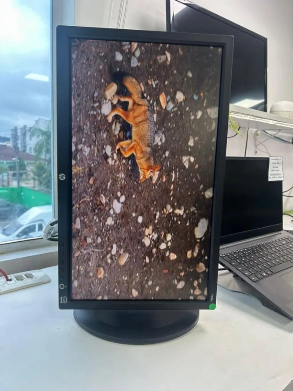 Monitor HP Horizontal e Vertical 20 Polegadas - Foto 2