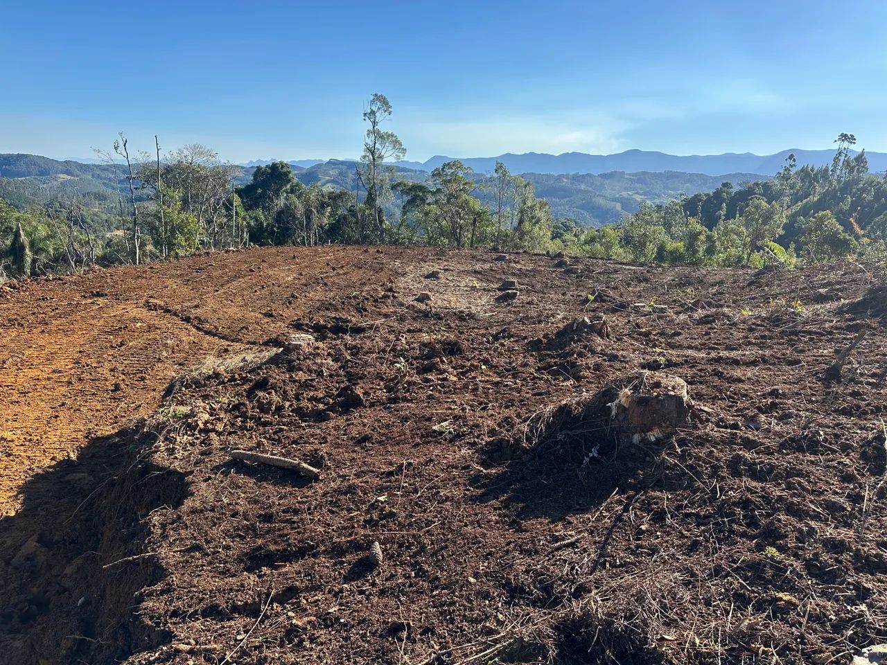 Vendo sítio em Anitapolis  - Foto 4