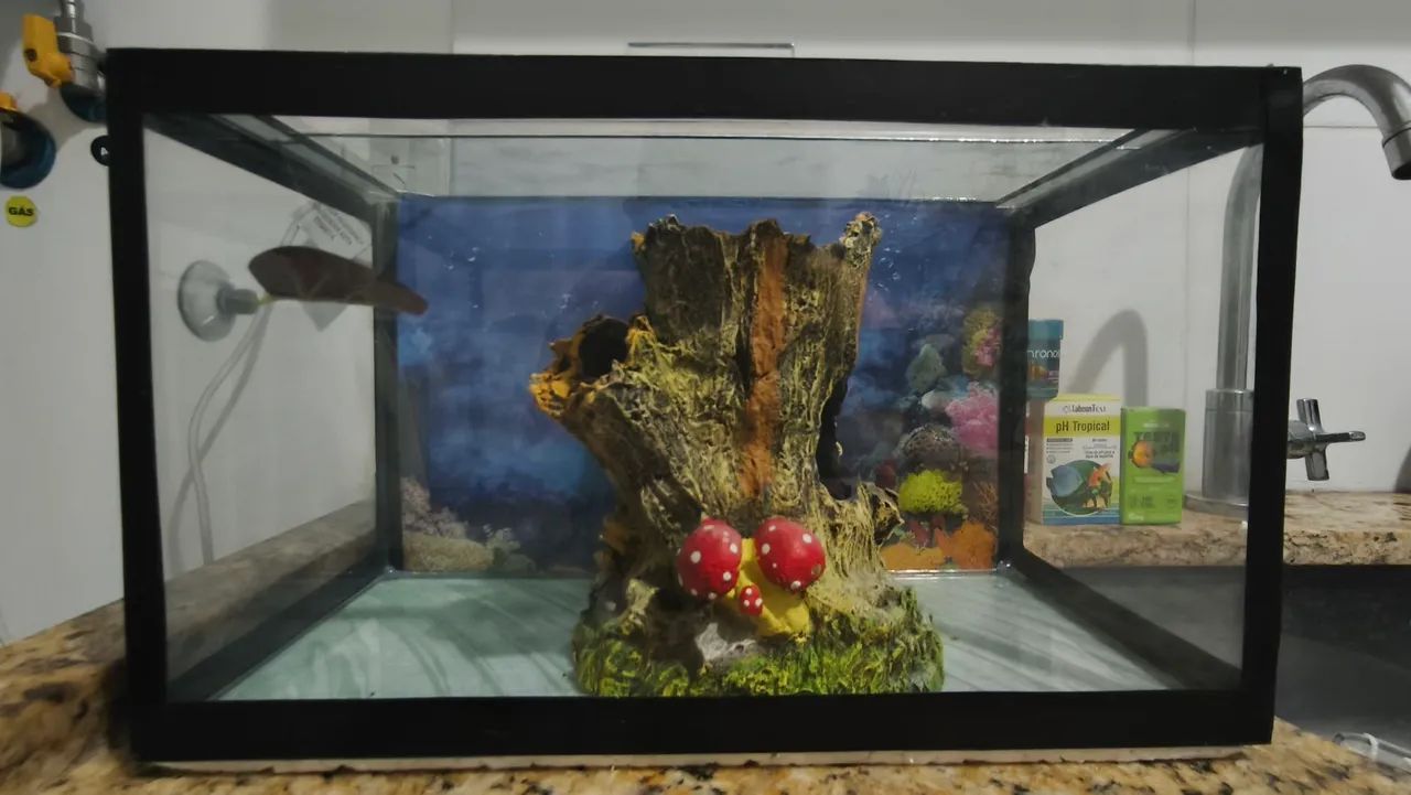Kit aquário  - Foto 4