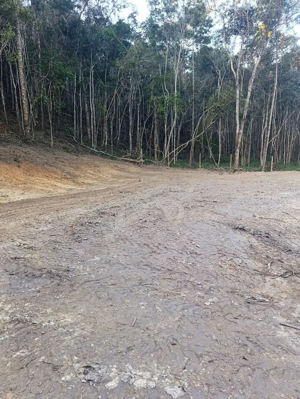 Chácara  - Foto 5