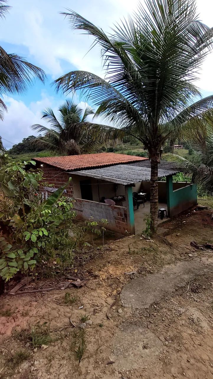 Foto - Jaboatão dos Guararapes - Cajueiro Seco