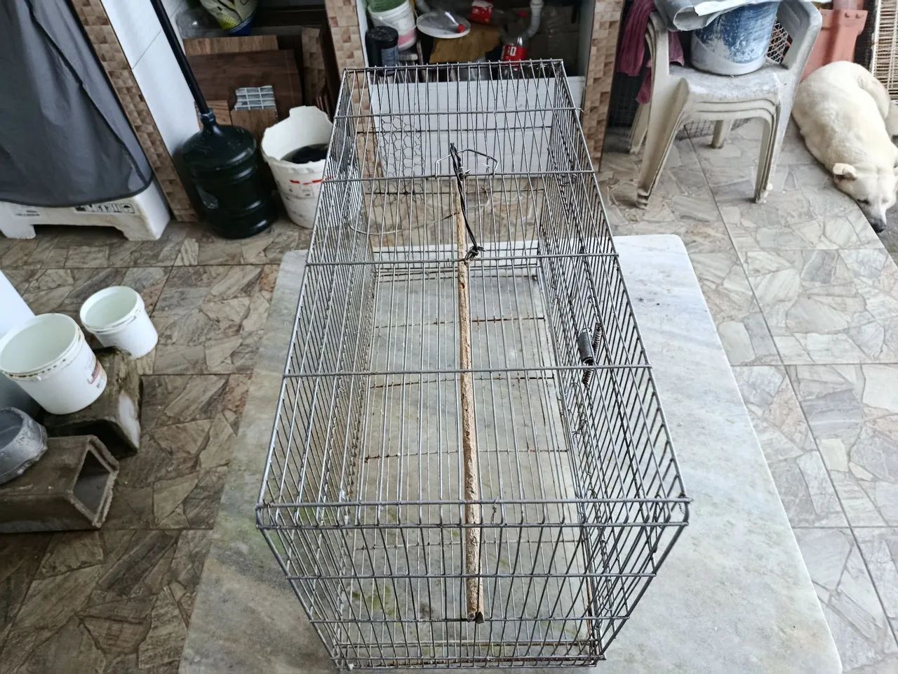 Gaiola  - Foto 2